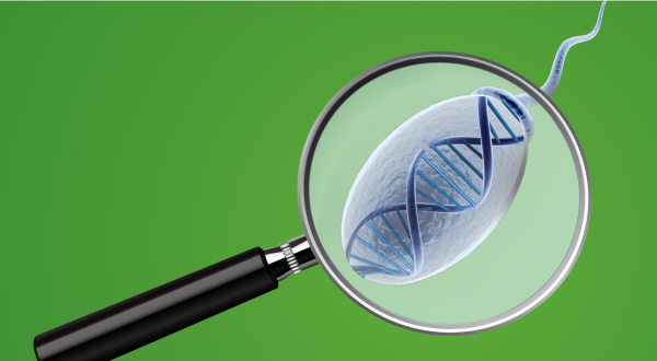 Sperm DNA Fragmentation test - Andrology Center