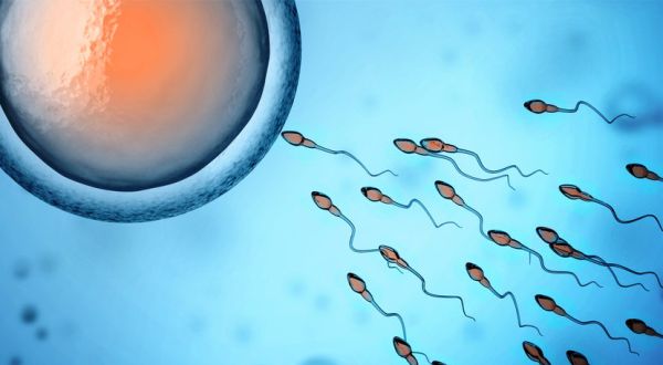 What Does It Mean to Have a Low Sperm Count? An Overview by Andrology Center, Coimbatore