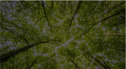 Exploring new heights in 2018 with reduced rates for SCSA® Test