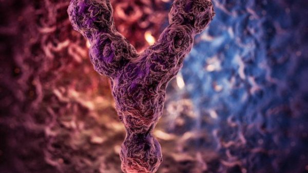 What are Y Chromosome microdeletions?