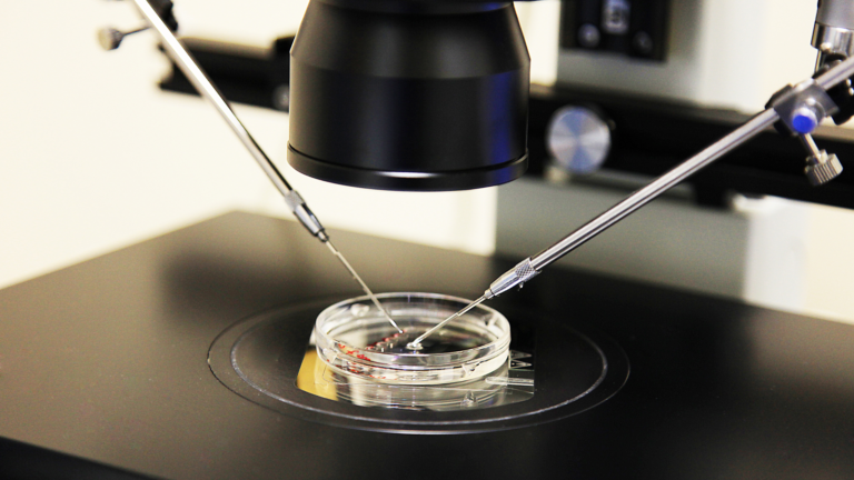 Navigating Your Fertility Journey: What to Expect During a Male Fertility Assessment